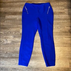 Royal Blue Dress Pants